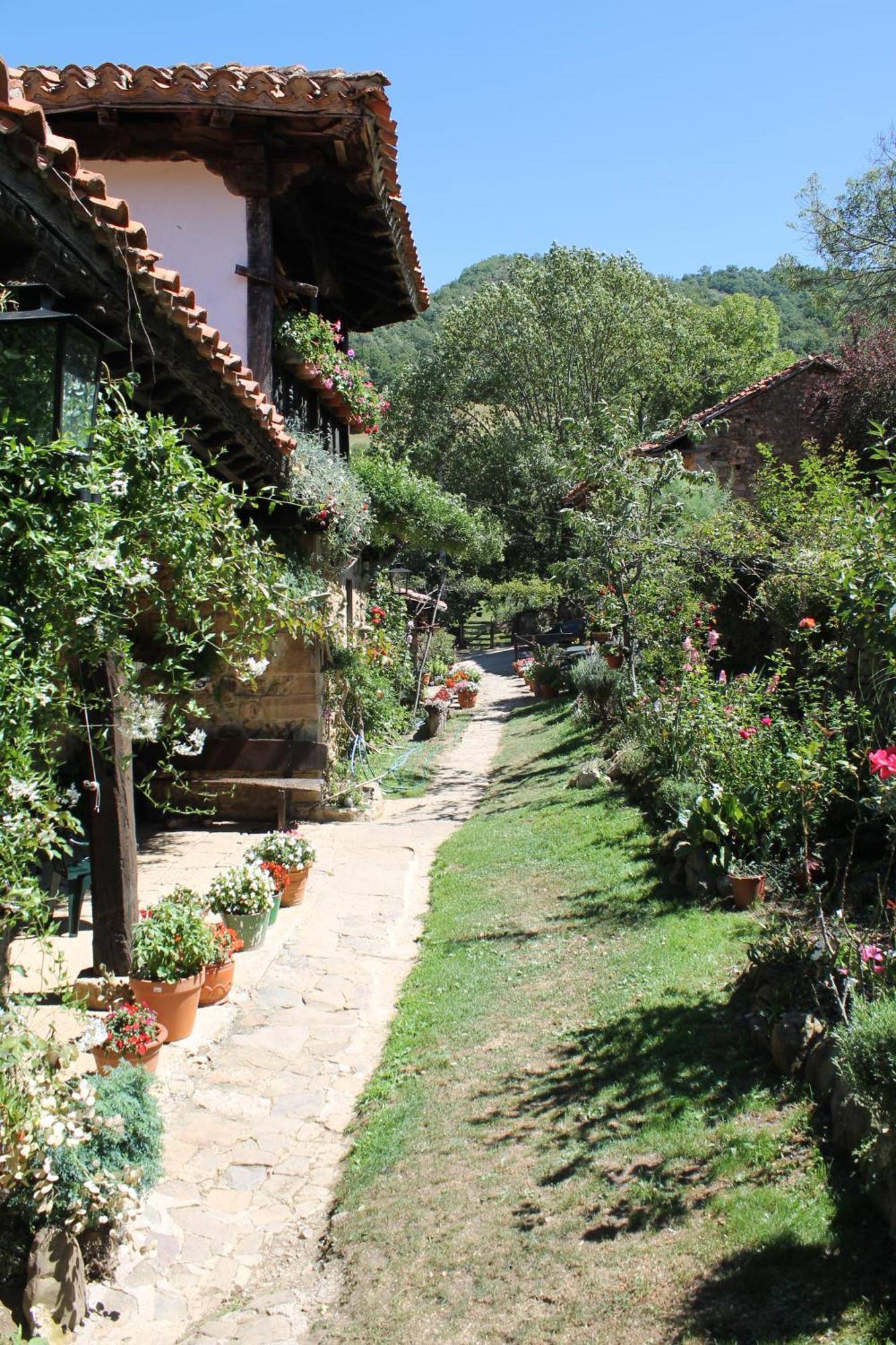 Casona De Trevino Guest House Cosgaya Exterior photo